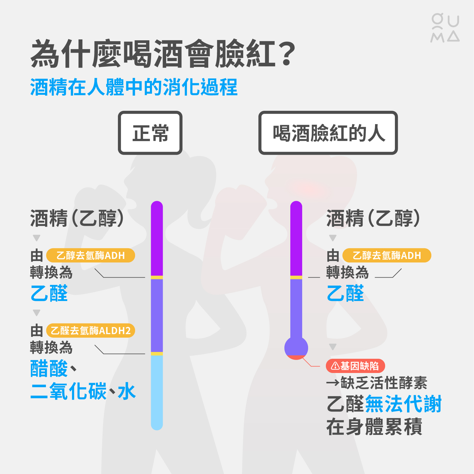 你喝酒就臉紅嗎？